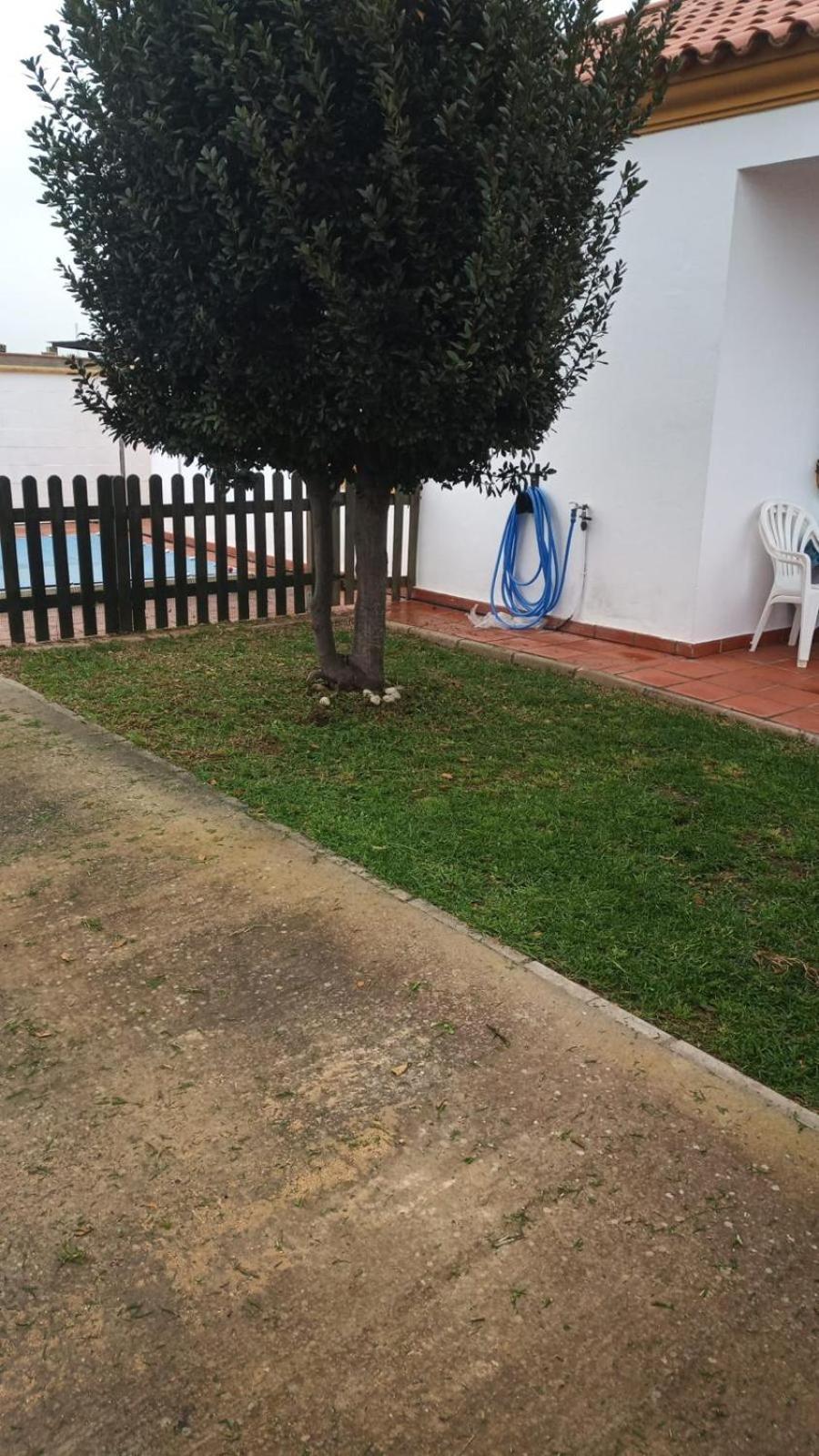 Bellavista De Conil Villa Conil De La Frontera Exterior photo